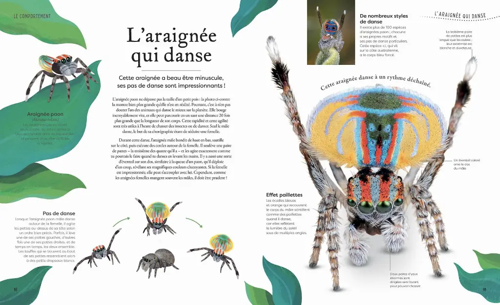 Auzou - L'anthologie insolite de la nature étrange et mystérieuse 2.webp