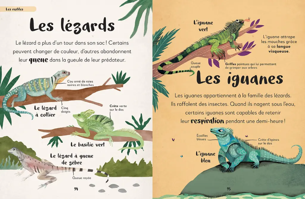 Auzou - Ma première anthologie des animaux 3.webp