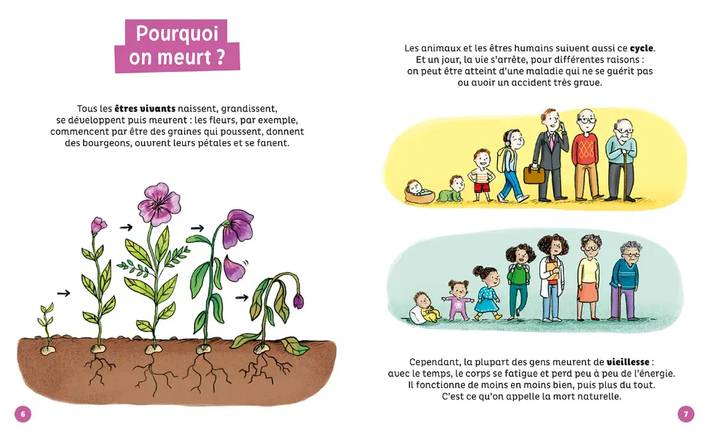 Auzou - Mes docs et moi - Je me pose des questions sur la mort, c'est normal 2.webp