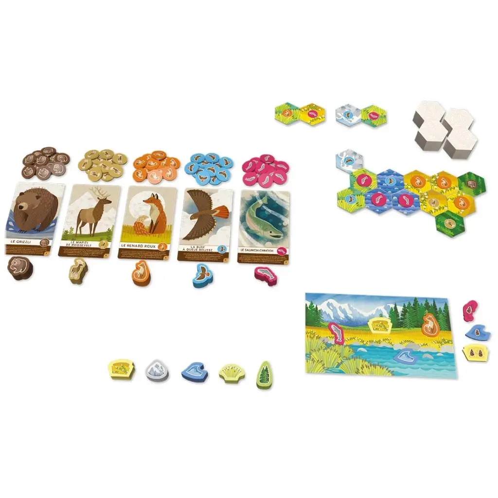 cascadia-junior (1).webp