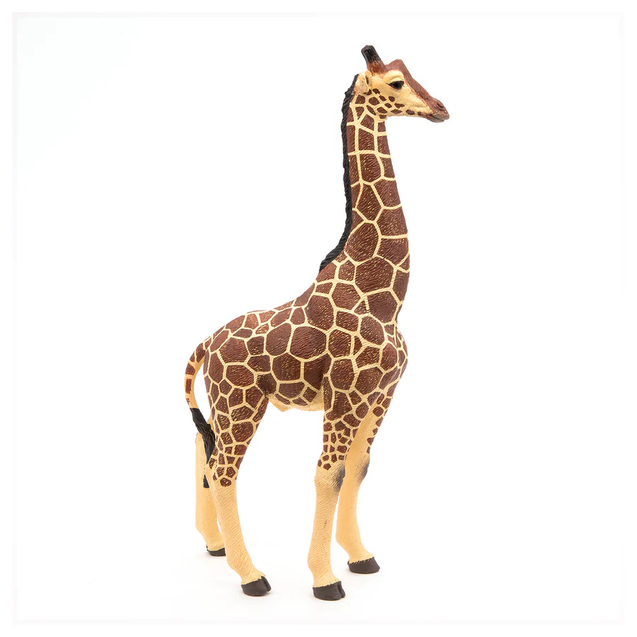 girafe