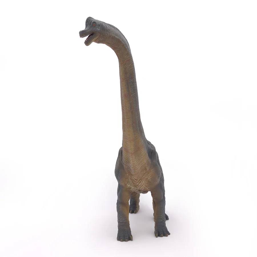 Brachiosaure