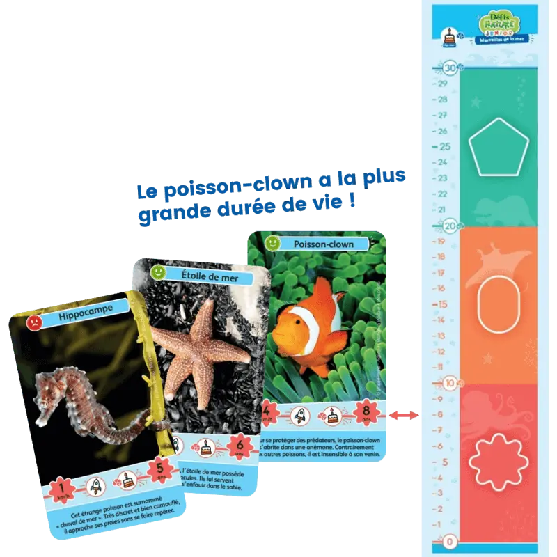 defis-nature-junior-merveilles-de-la-mer (2).webp