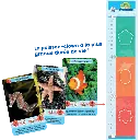 defis-nature-junior-merveilles-de-la-mer (2).webp