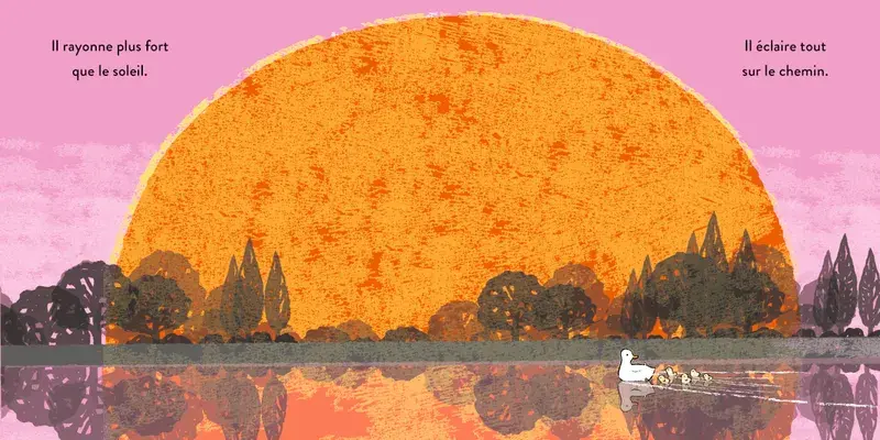 Larousse Jeunesse - Un amour infini - E.Dodd