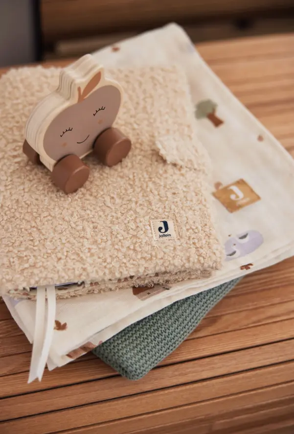 Capture d'écran 2026-01-10 131932.webp