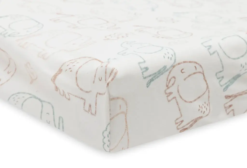 Capture d'écran 2026-01-29 172614.webp