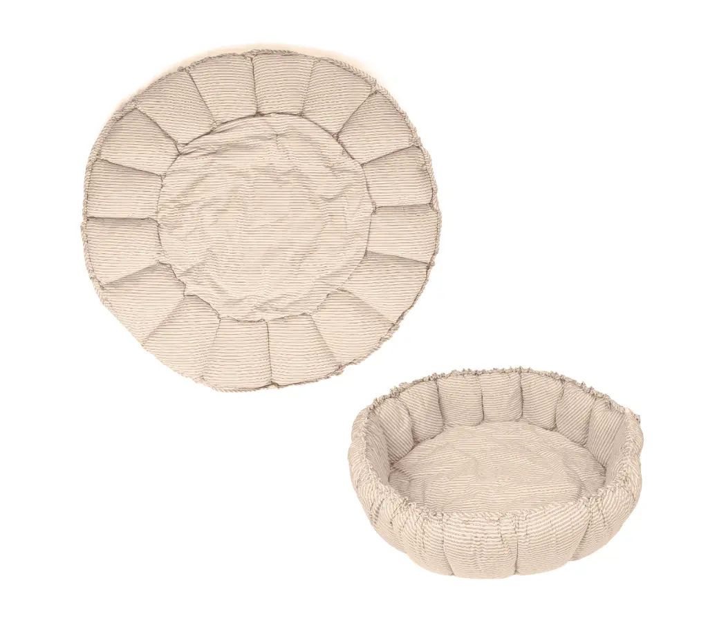 Capture d’écran 2026-02-07 110046.webp