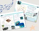Livret-Animaux-marins_5.webp