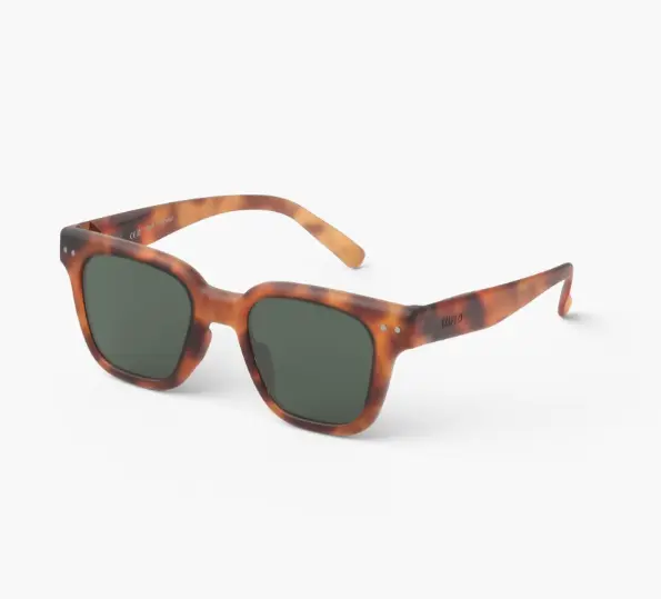 Capture d'écran 2026-03-06 144229.webp