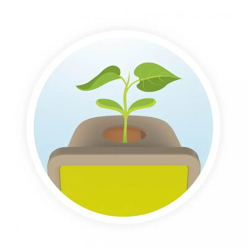 petites-pousses-100-made-in-france (2).webp