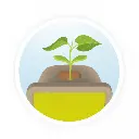 petites-pousses-100-made-in-france (2).webp