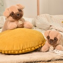 Doudou et Compagnie -