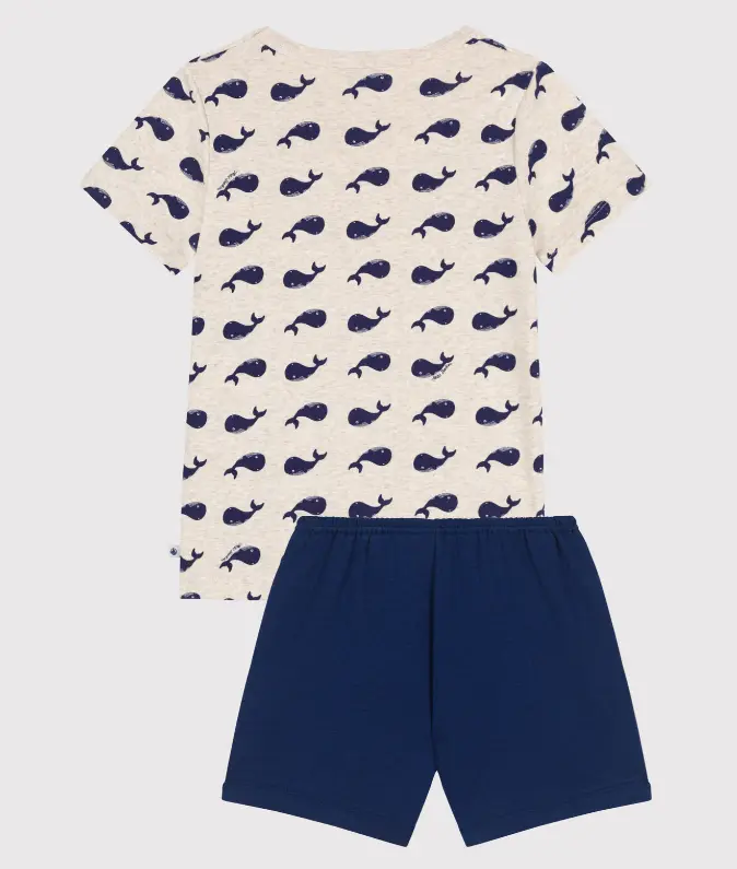 Capture d'écran 2026-03-10 204819.webp