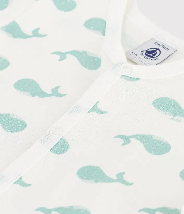 Capture d'écran 2026-03-10 225408.webp