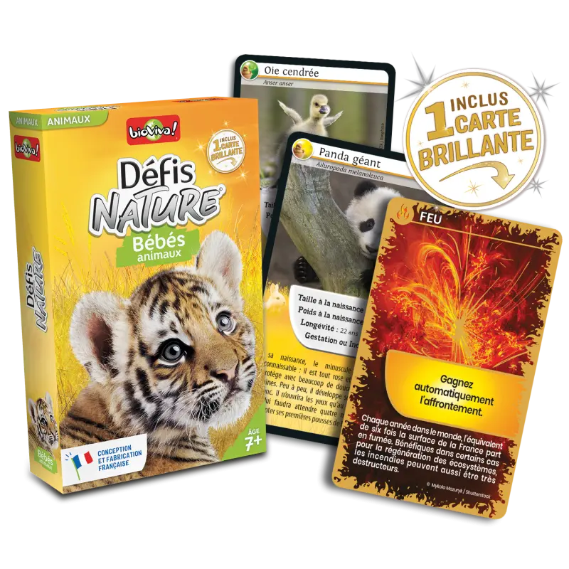 defis-nature-bebes-animaux (1).webp