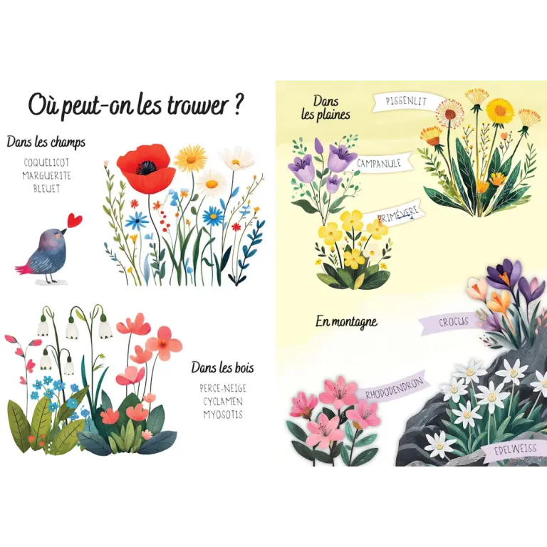 puzzle-magique-a-l-eau-les-fleurs (1).webp