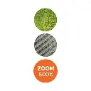 video-magnifying-miscoscope (2).webp