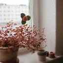 mushie--suction-spinner-toy--sunshine (2).webp