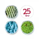 Buki - Microscope vidéo