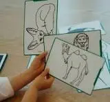 téléchargement (3).webp