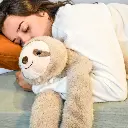 podcoll-paresseux-10-69a7029f81b55319874327.webp