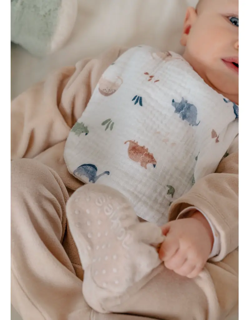 din-set-3-bavoirs-mousseline-bio-dinos_1200_1200-2624288.webp