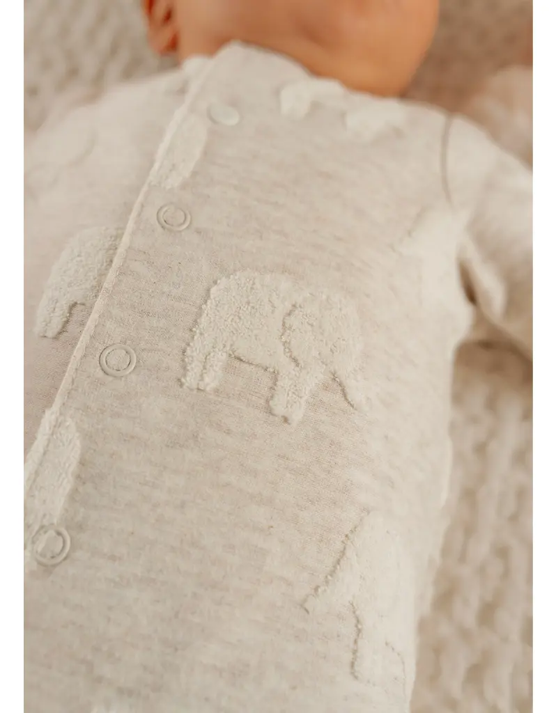 m-m-dors-bien-jersey-elephants-gris_1200_1200-2680981.webp