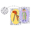 DJ05069-C1-RVB.webp