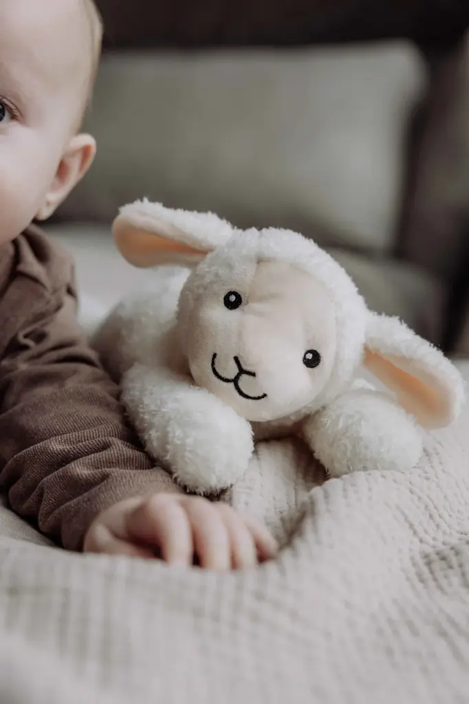 EB_S8720726529501E_gecomprimeerd_1100x.webp