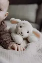 EB_S8720726529501E_gecomprimeerd_1100x.webp