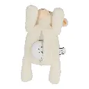 EB_8720726529501D_1100x.webp
