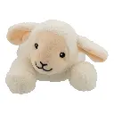 EB_8720726529501E_1100x.webp