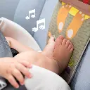 tableau-de-voiture-lapin (3).webp