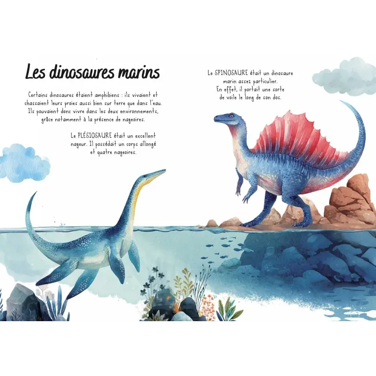 puzzle-magique-a-l-eau-les-dinosaures (3).webp