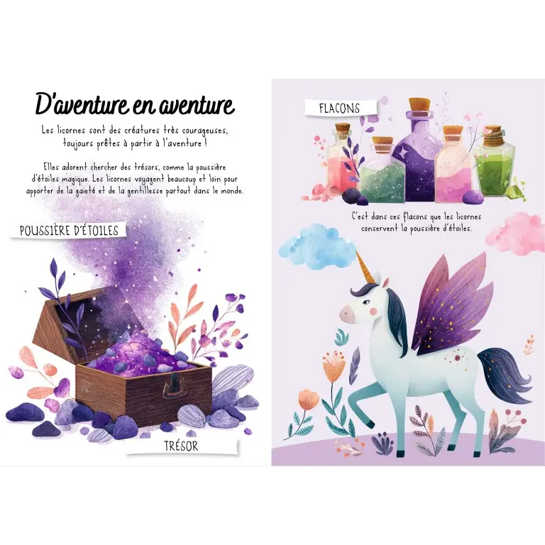 puzzle-magique-a-l-eau-les-licornes (3).webp
