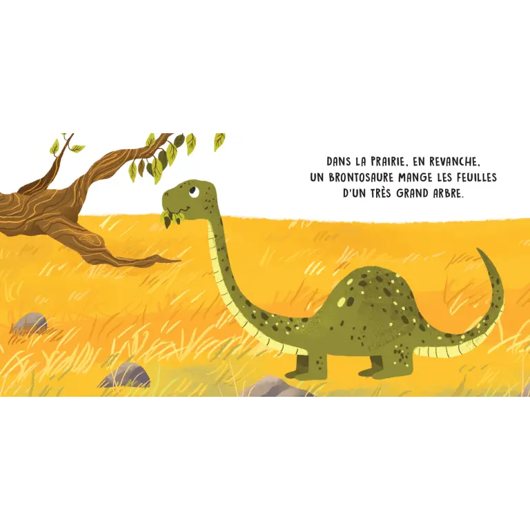 douces-histoires-sonores-les-dinosaures.webp