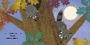 108524.webp