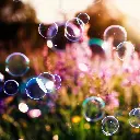 SB0001_2.webp