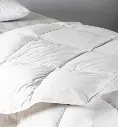 couette-enfant-lanai-en-duvet-et-plumes (3).webp