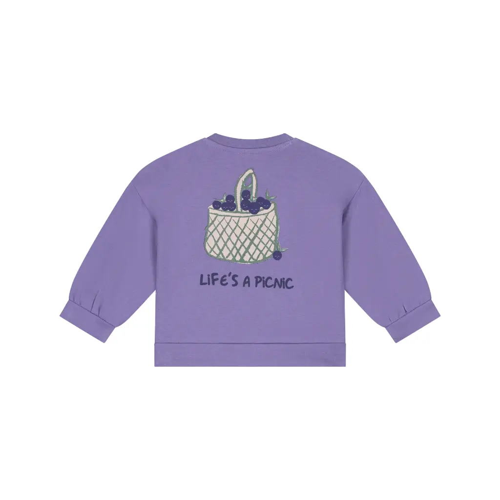 BABYFACE - Pull Myrtille - Faded Plum - Fille