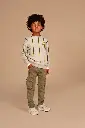 SSA26407459-9505-1000-73.webp