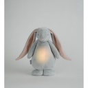 https://lacabanedeslutins.be/wp-content/uploads/2021/07/moonie-le-lapin-magique-avec-sons-lumieres-gris-rose-moonie.jpg