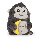 SUS0019_2.webp