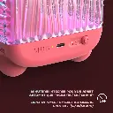 WAVYLIGHT-CORAL_5_1100x.webp