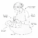tablier-bain-bebe-hugging-latte-powder (2).webp
