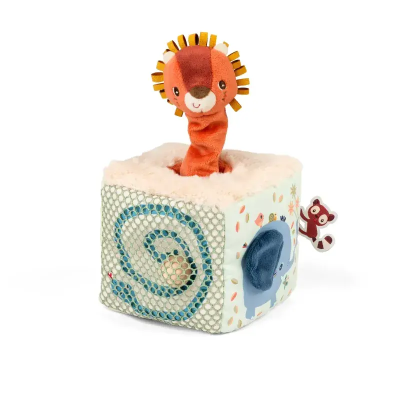 cube-d-activites-sonore-jack-le-lion (4).webp
