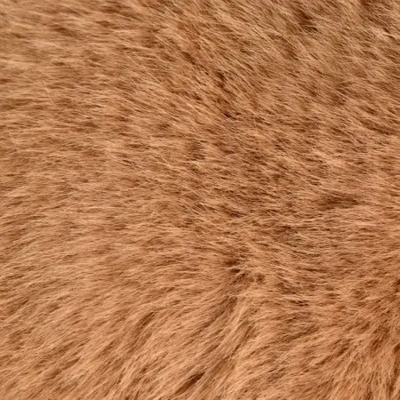 podcoll-ours4-69a80d1e01b6b126185524.webp