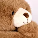 podcoll-ours-2-69a80d16b4cc0049192200.webp