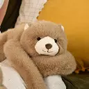 podcoll-ours5-69a80d2247ea3970547465.webp
